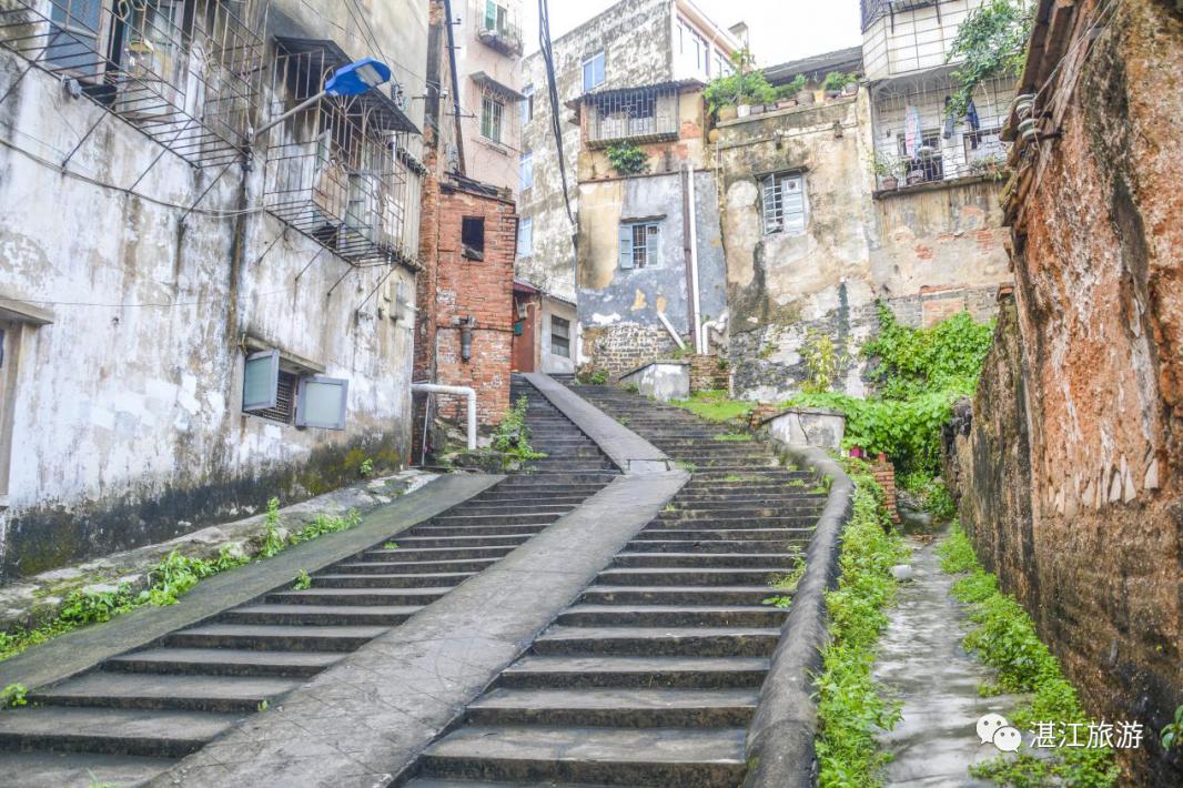 湛江开渔节美食,湛江开渔节现场视频