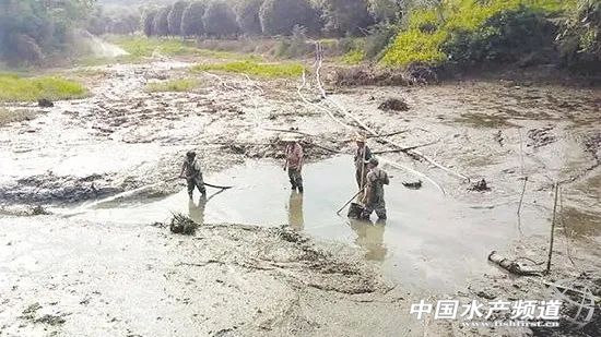 池塘生态养殖场建造,集装箱养殖可行性报告