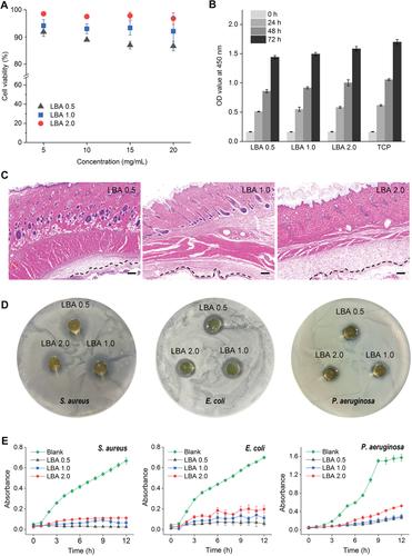 寰愬嘲瑗垮畨浜ゅぇ,瑗垮畨浜ゅぇ寰愬嘲鏁欐巿