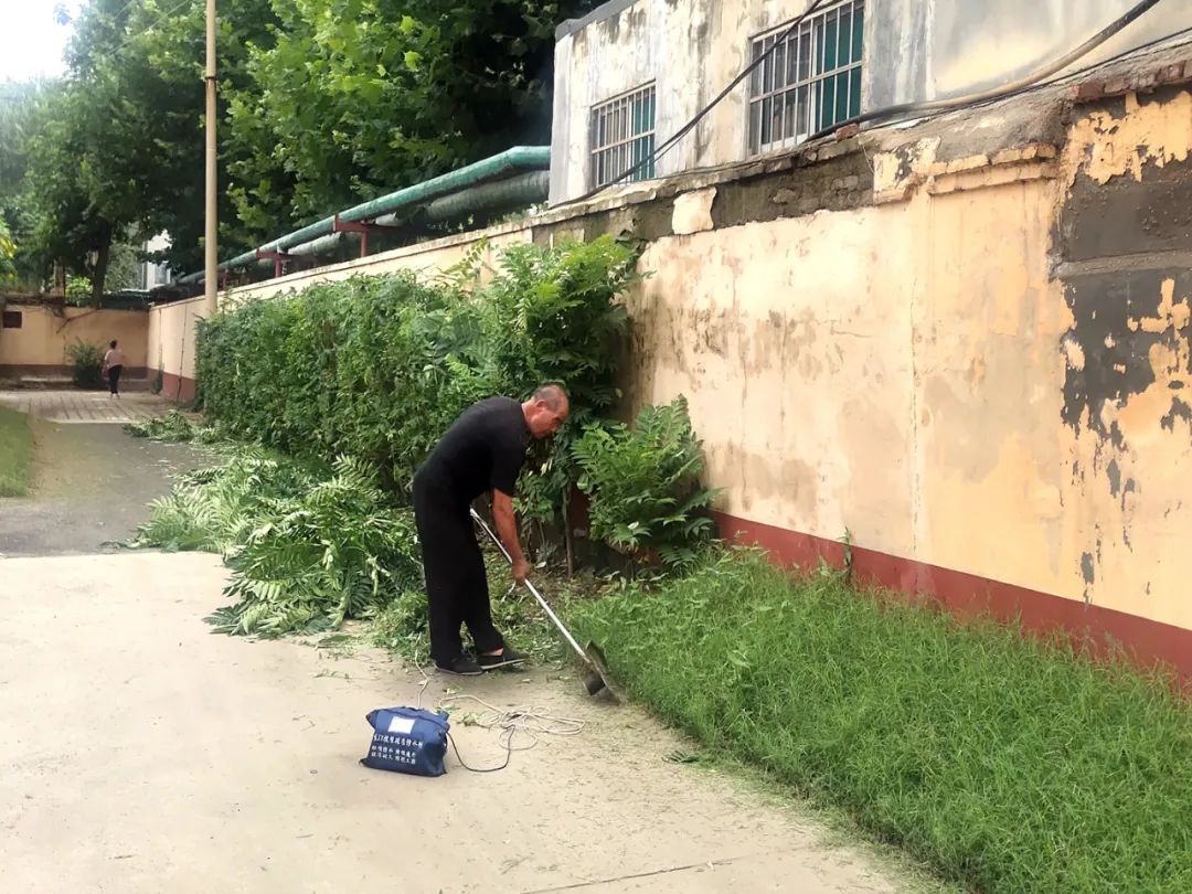 创城工作志愿服务活动通知,创城志愿服务有你有我