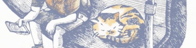 刷闲鱼成了我每天的快乐源泉