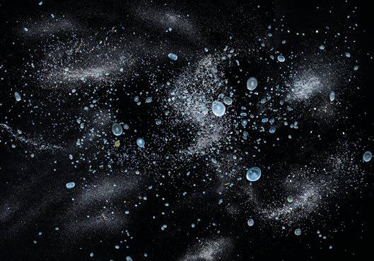 海洋护肤成分,深海植物护肤精粹