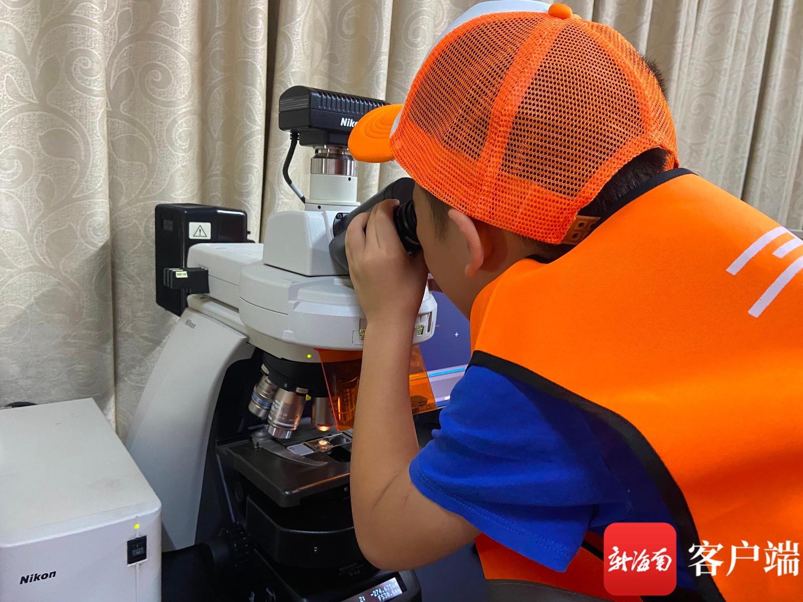 让科学点亮孩子们的眼睛南国卖报纸小行家走进蜜蜂科学实验室