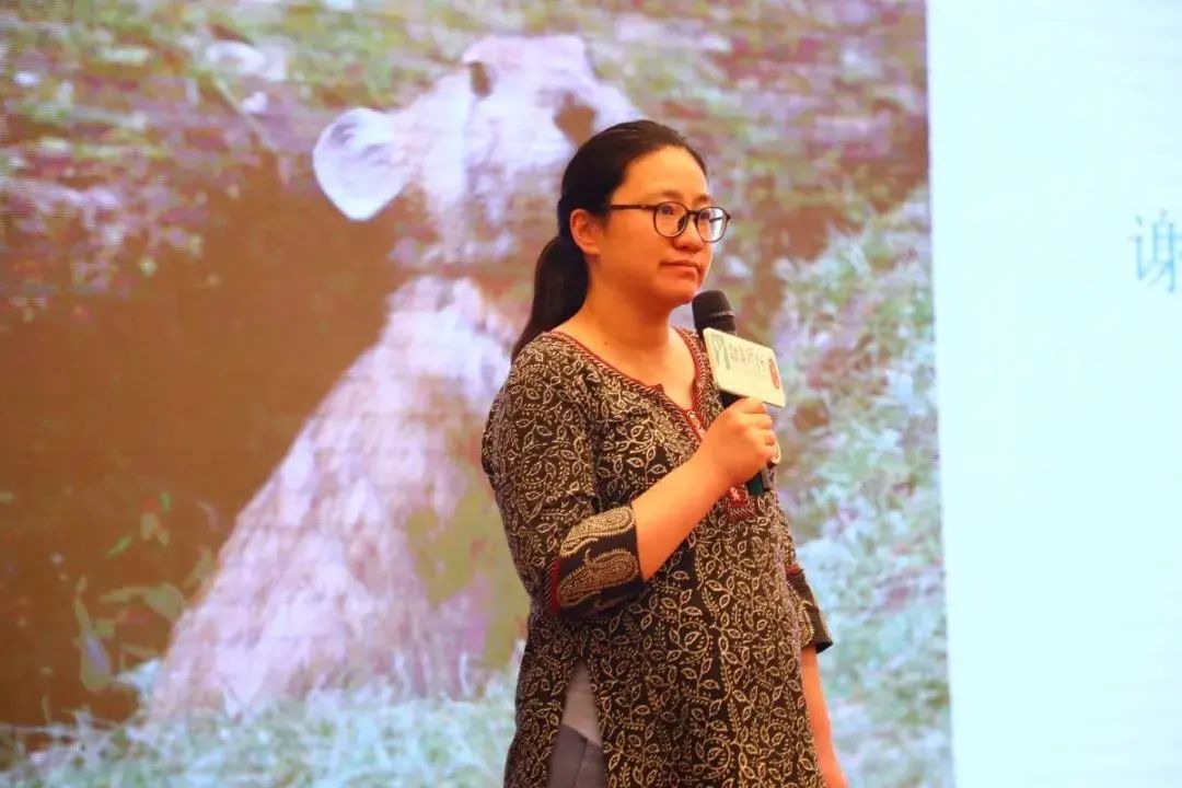 劲草同行2020届新伙伴名单公示