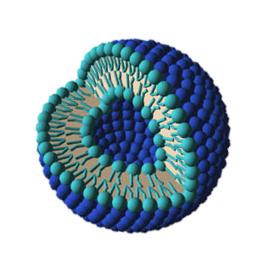 冻干护肤品评测,冻干粉护肤真的有效吗