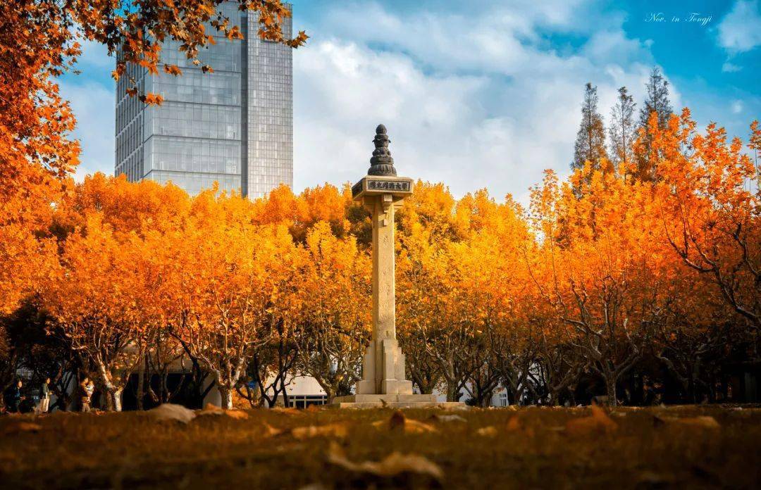 别老盯着裸考低分进名校有捷径,低分读名校有捷径