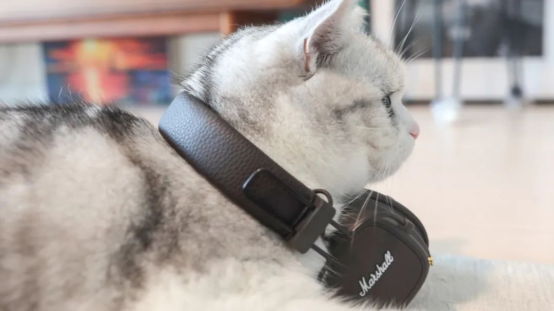 坚果黑巧燕麦谷物脆,坚果黑巧巧克力