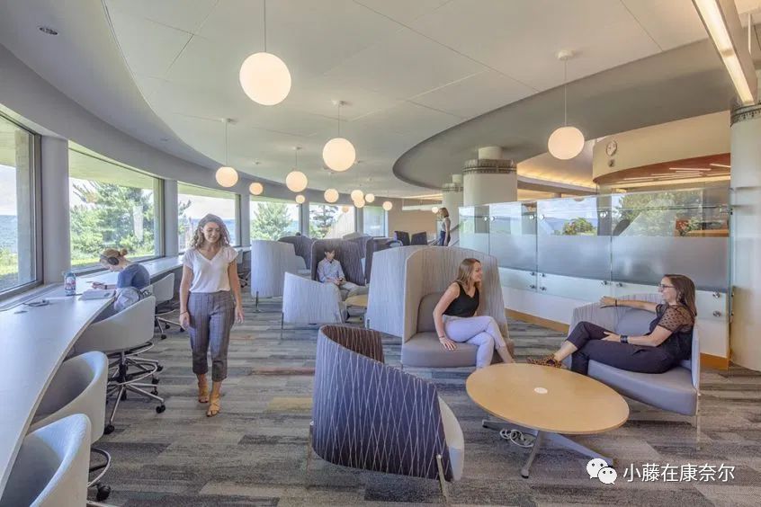 康奈尔福奇事件,康奈尔留学圈事件