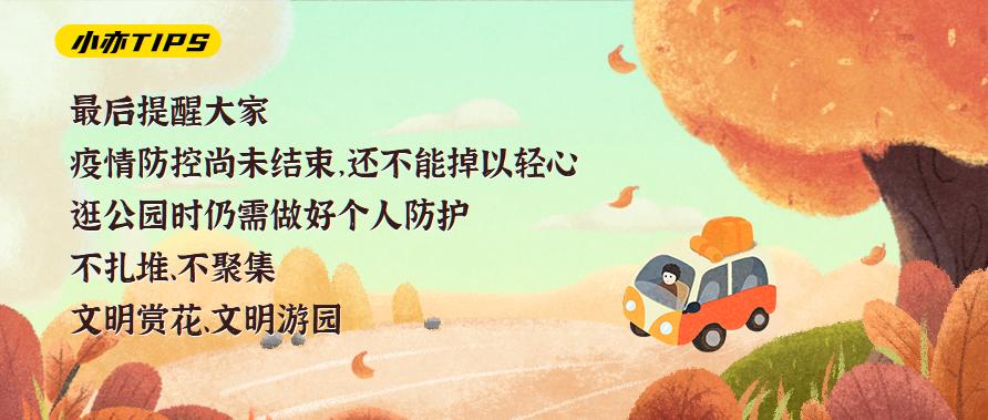 漫游古城享受惬意时光,感受大自然的气息和美景逛新城