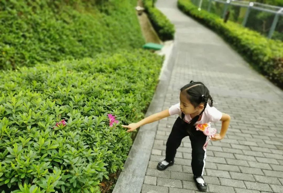 如何用两天时间，从零开始，教娃轻松学会认时间？