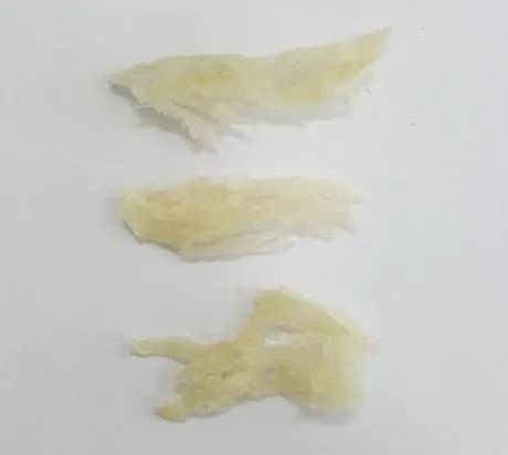 进口燕窝是否属于农产品案例,进口燕窝税费