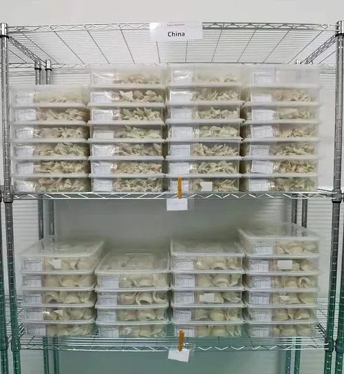 印尼进口燕窝,进口燕窝原料需缴什么税