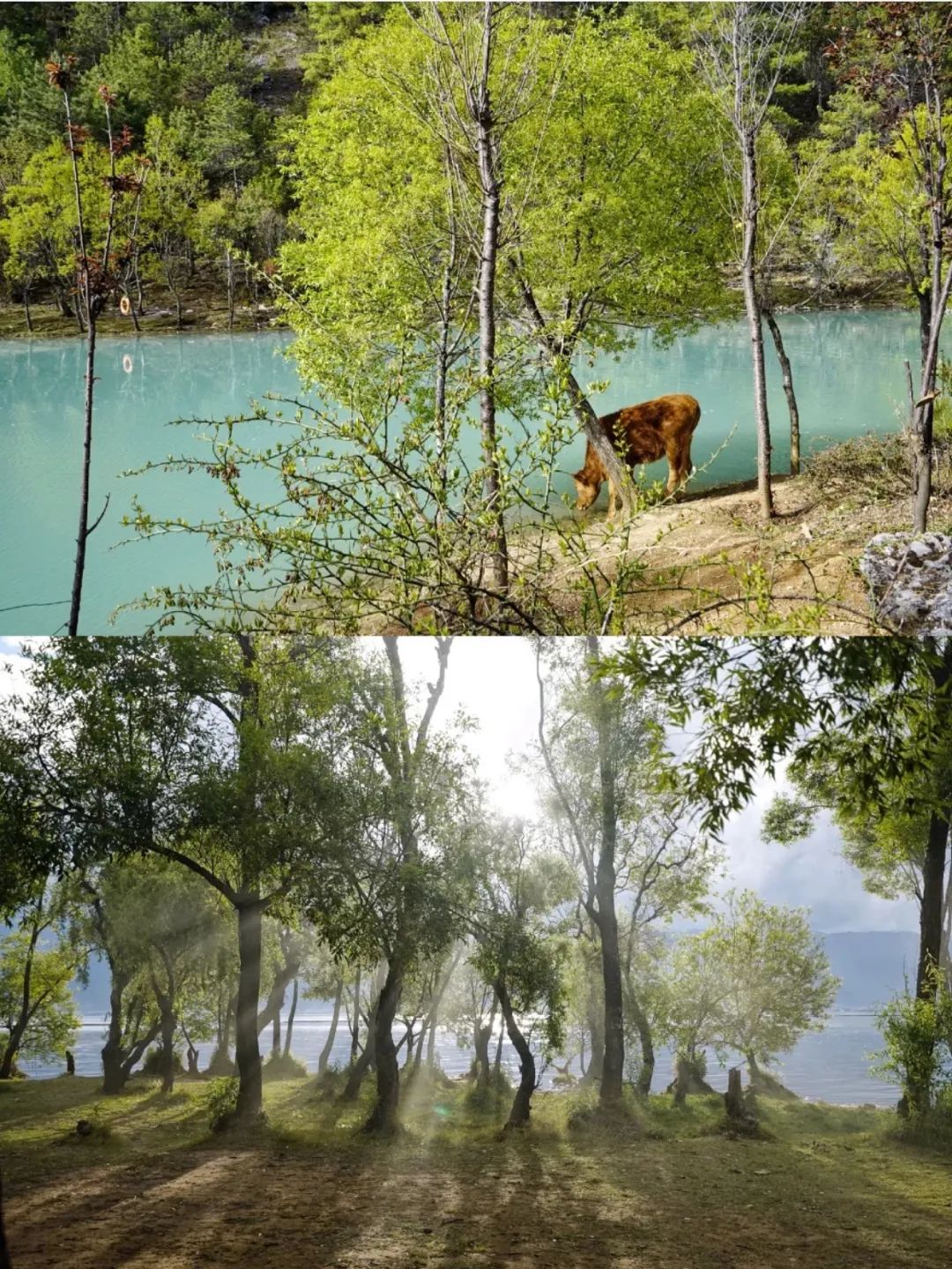 现在买随心飞合适吗,还能买随心飞吗