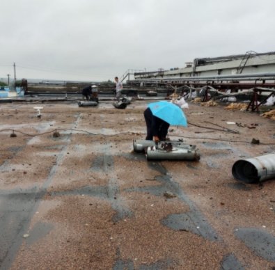 对抗“巴威”，他们竟然“拴”大树、电梯停运、连夜清理铁皮