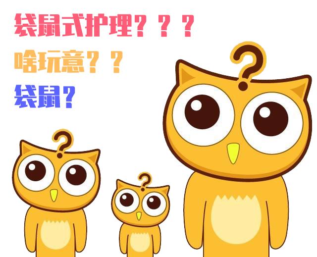 装在口袋里的爱,什么是袋鼠式护理