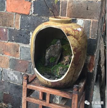 普陀山网红海景民宿推荐,普陀山岛上民宿客栈推荐