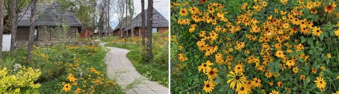 去长白山哪家酒店度假最好,长白山最佳观景酒店