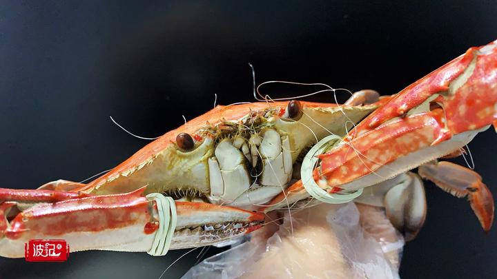 「内附福利」一群海边人“尝鲜”，用直播卖蟹涨粉，从几斤到几百斤