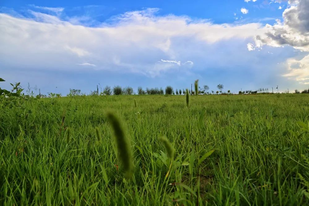 花田之约，醉美其中…