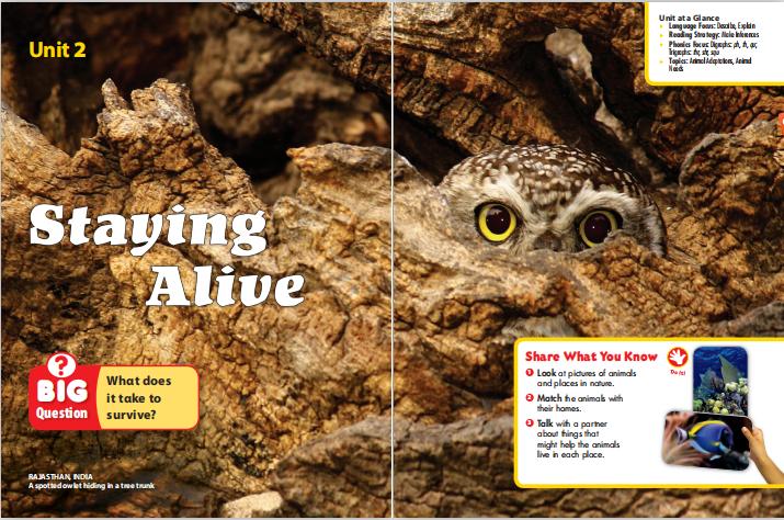 别再乱报班!3位妈妈现身说法,帮你深扒下这个在线英语课