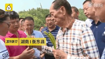 袁隆平三个儿子共生几个孙子孙女,袁隆平和两个孙女合影