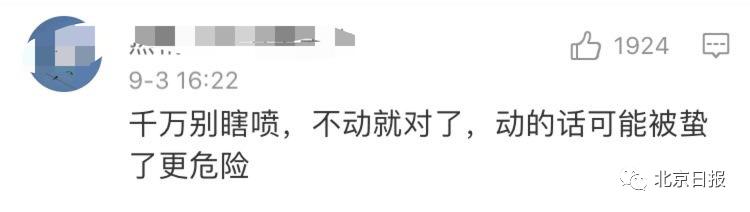 军训女学生被蜜蜂叮嘴,教官回应女生军训被蜜蜂咬脸