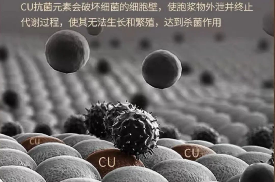 菜板保护,菜板好用又健康