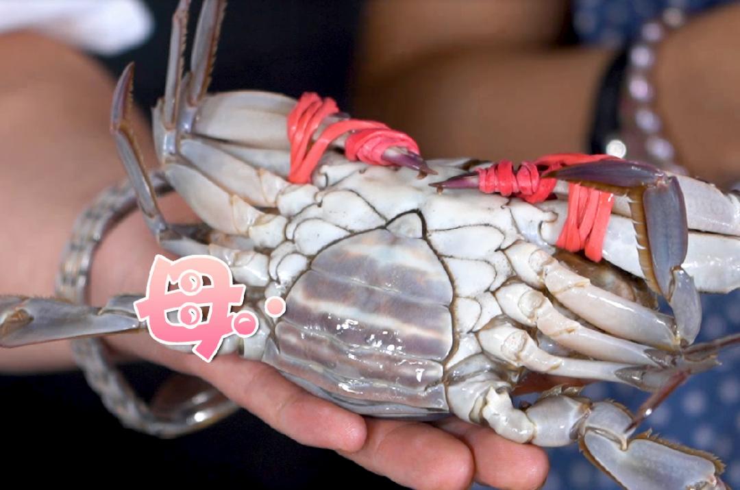 青岛二十四节气白露,二十四节气里的青岛