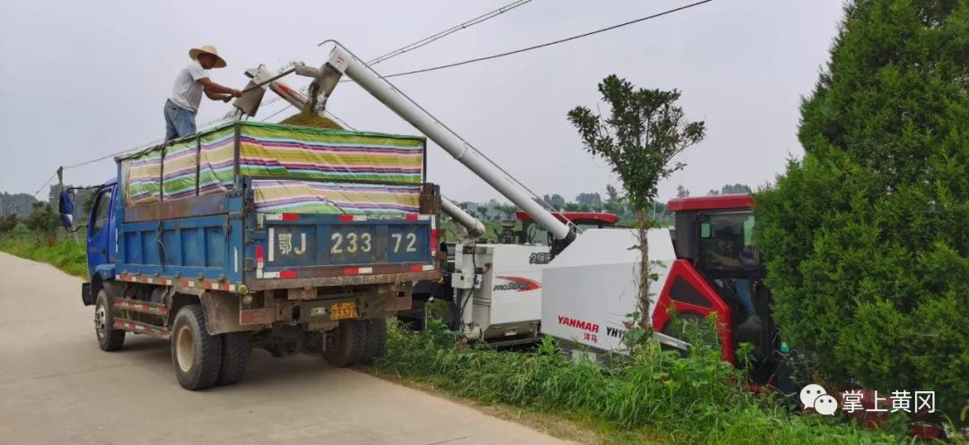 关注鄱阳湖抗洪抢险一线现场,黄冈防汛最新消息