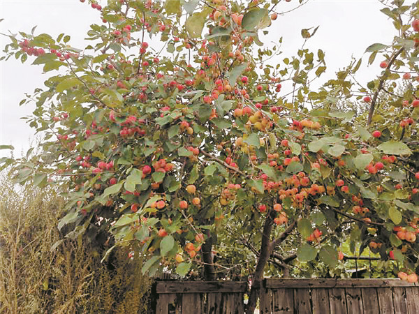 洪胜村,红德村扶贫故事