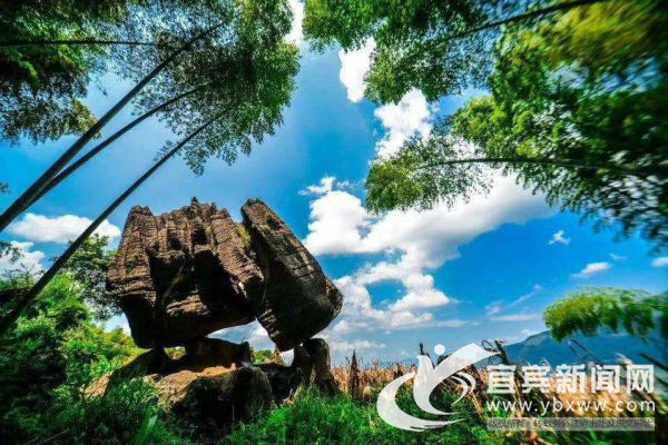 一年看变化,擦亮天府旅游名县这张名片