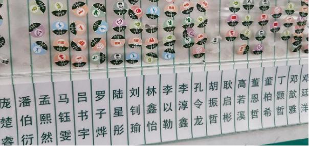 红领巾争章活动山东,少先队红领巾争章活动是什么