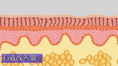 小茂面霜怎么样,小茂最好用的护肤品