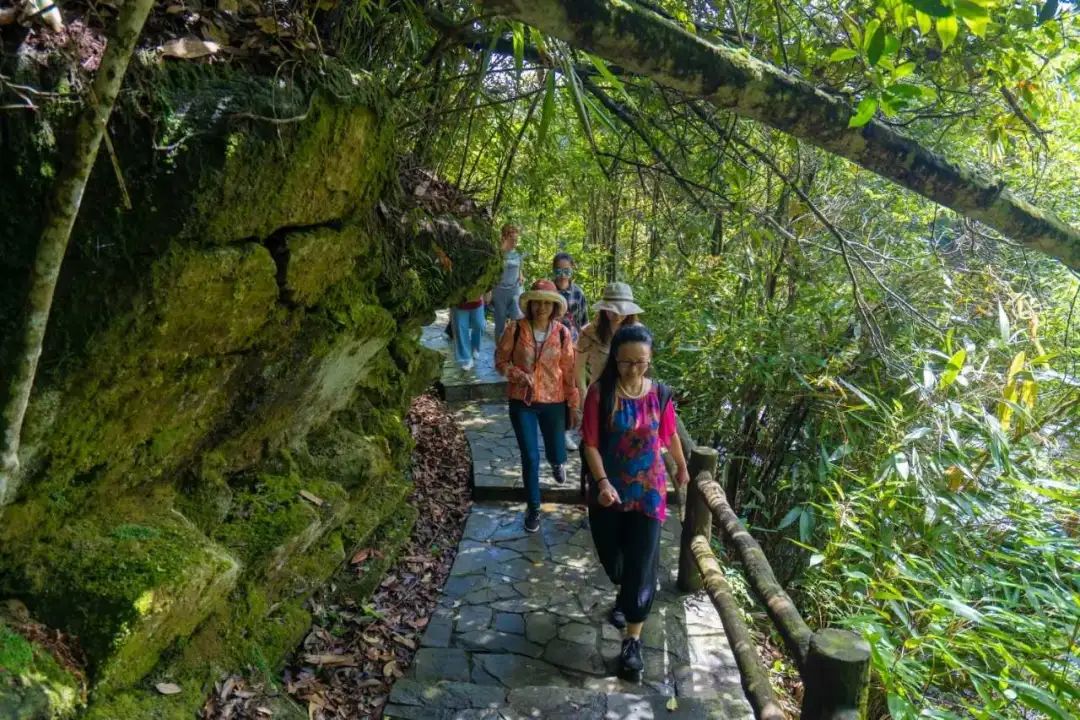南宁主要旅游必去景点,南宁旅游这些必玩景点