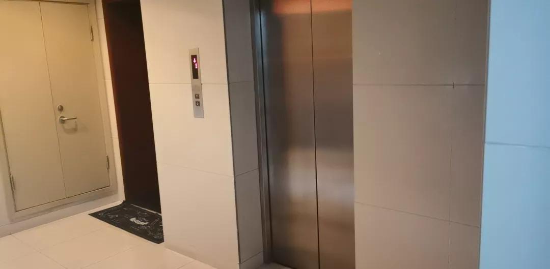 莘庄镇生活日记——创全“莘”声｜最“莘”面貌已解锁，快来看看身边改变