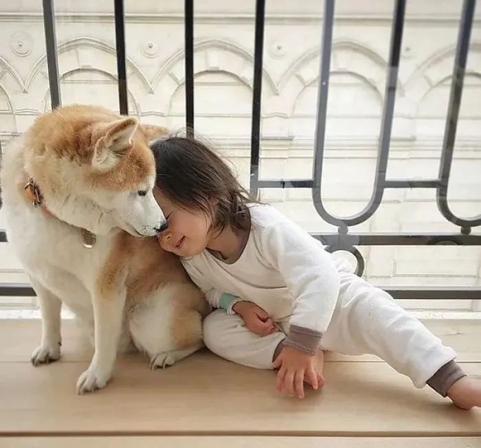 让蟑螂来一只死一窝的方法,蟑螂克星一窝端