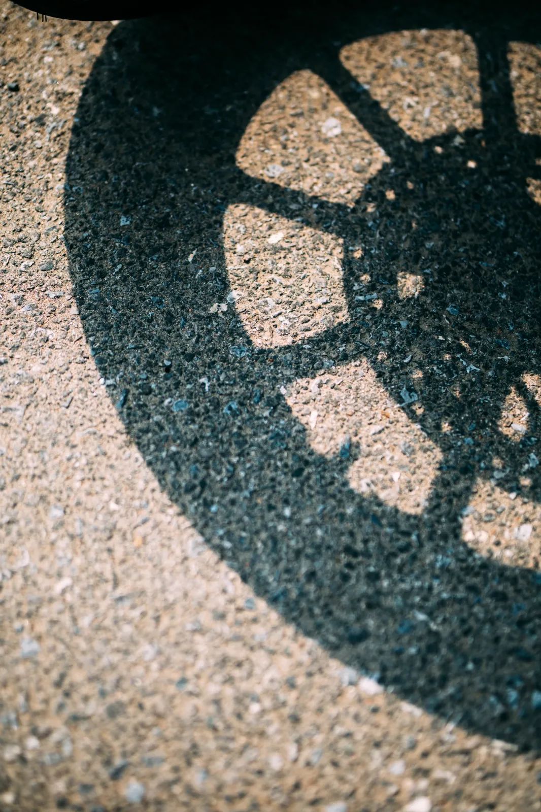 哈雷戴维森IRON1200:让我在秋天里无法自拔