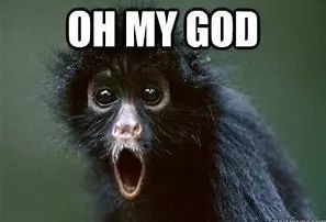 室速全名叫什么,室速的解读和识别