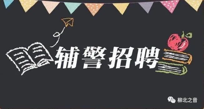 柳北团队招人,柳北区招聘信息最新