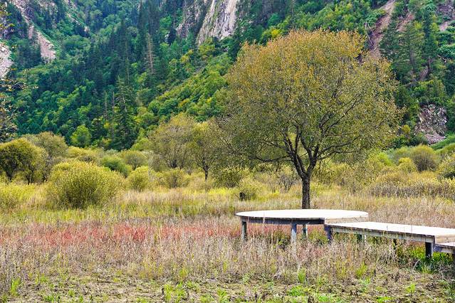 初秋,与神话九寨的浪漫之约