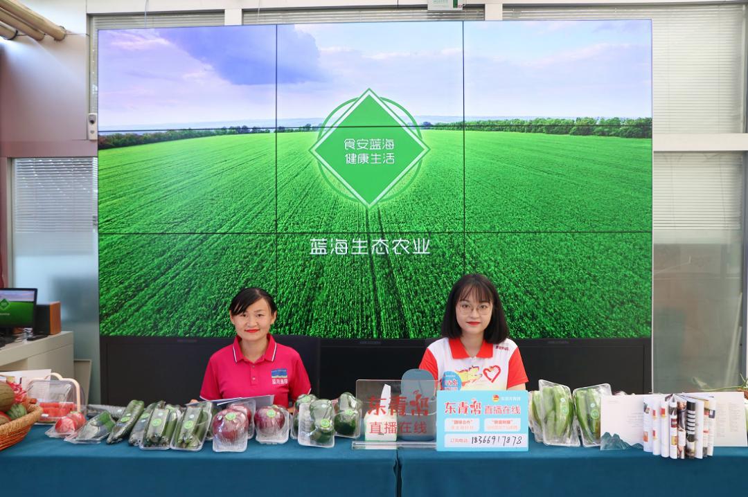 东青帮直播在线观看,东青帮直播在线