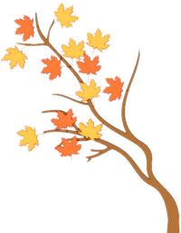 秋日荐书|抗抑郁书单，拯救不开心的你