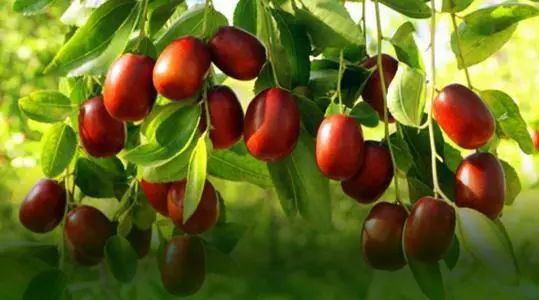 粉丝分享｜踏踏实实打好“肌”础真的有用