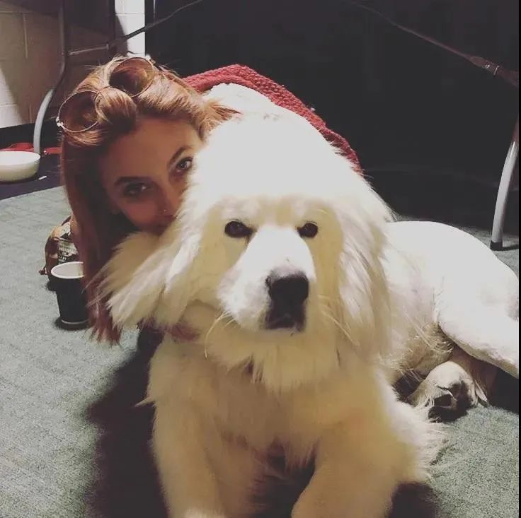 迈克尔杰克逊的女儿为什么是白人,迈克尔杰克逊女儿生活视频