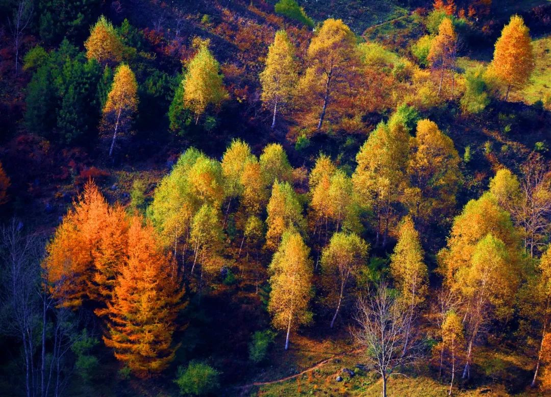 武都旅游景点大全,武都旅游线路