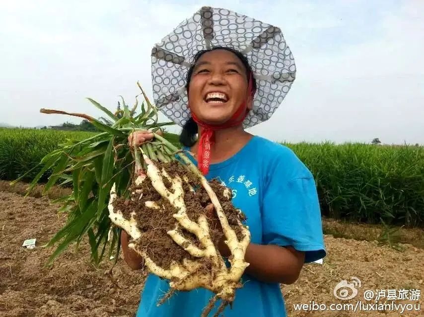 收藏！四川十二月月月hei惊艳