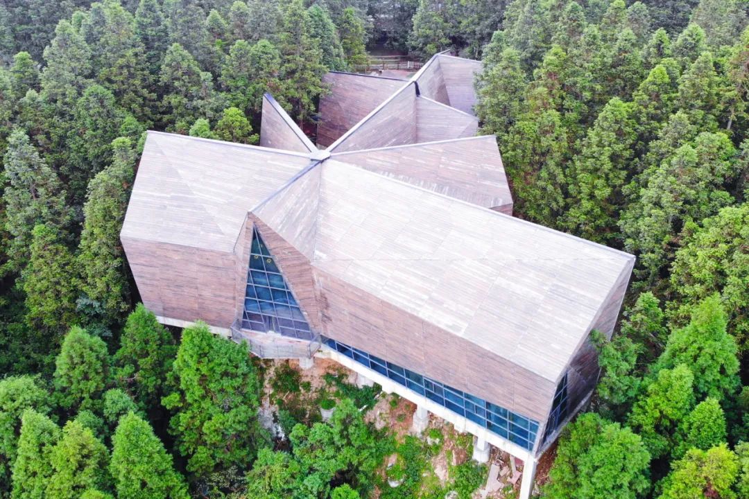 别去挤景点了！生态旅游了解一下