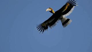 别去挤景点了！生态旅游了解一下