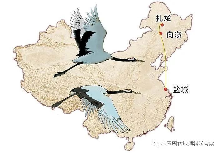 中国少年营新疆站报名,中国少年营报名