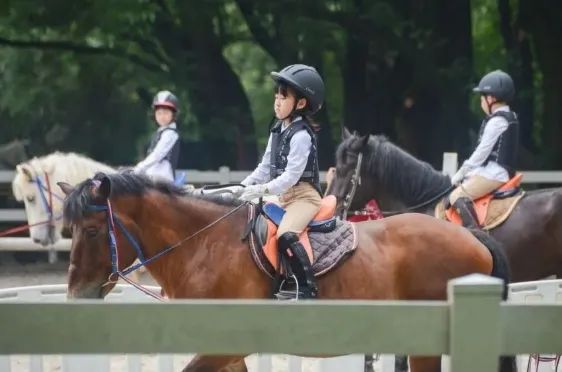 体教融合简易解读,一图读懂体教融合